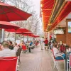 Elegant guide to restaurants with outdoor seating in Raleigh NC